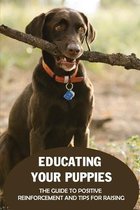 Educating Your Puppies: The Guide To Positive Reinforcement And Tips For Raising