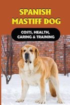 Spanish Mastiff Dog: Costs, Health, Caring & Training