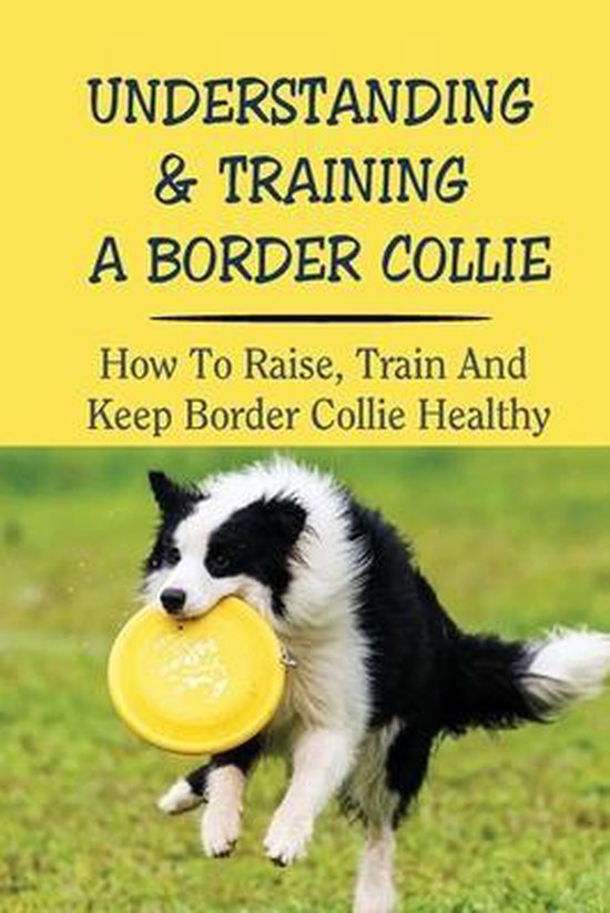 Understanding & Training A Border Collie How To Raise, Train And Keep