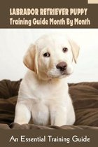 Labrador Retriever Puppy Training Guide Month By Month: An Essential Training Guide