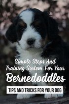 Simple Steps And Training System For Your Bernedoddles: Tips And Tricks For Your Dog