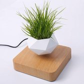 Zwevende Bloempot - Zwevende Plant - Floating plant pot - Zwevende decoratie - Nouchy®