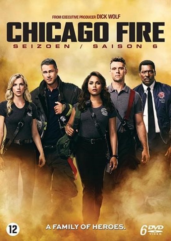 Chicago Fire - Seizoen 6 (DVD)