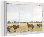 Canvas Schilderij Doorkijk - Paarden - Dieren - 90x60 cm - Wanddecoratie