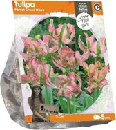 Plantenwinkel Tulipa Parrot Green Wave tulpen bloembollen per 5 stuks