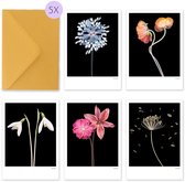 Botanische luxe wenskaarten set 10 stuks - gevouwen wenskaart - met envelop - blanco - zonder tekst - botanisch - bloemen - Rijkvol