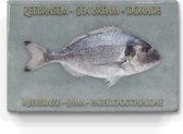 Zeebrasem op grijsblauwe achtergrond  - niet van echt te onderscheiden schilderijtje op hout - zeebrasem in 6 talen -  Laqueprint