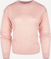 Steppin' Out Herfst/Winter 2021 Trui Ko Sweater Vrouwen - Regular Fit - Nylon - Roze (S)