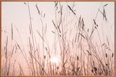 JUNIQE - Poster met kunststof lijst Sunrise Grass -40x60 /Roze