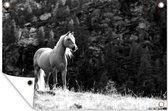Muurdecoratie Haflinger paard in de bergen - zwart wit - 180x120 cm - Tuinposter - Tuindoek - Buitenposter