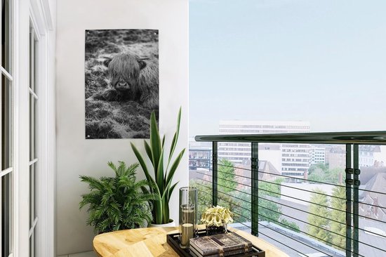 Décoration de jardin Highlander écossais au repos - noir et blanc - 40x60 cm - Poster de jardin