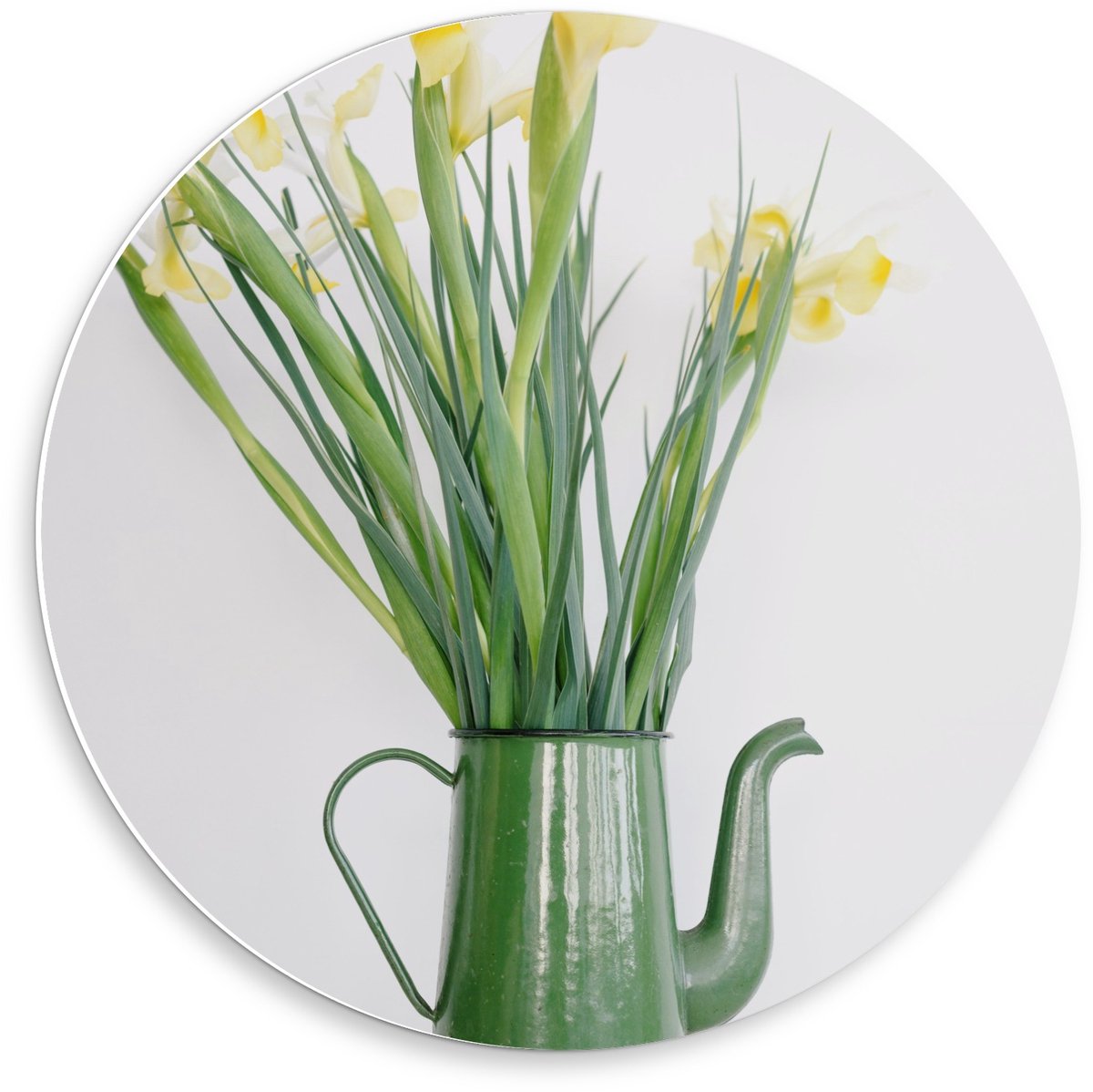 Forex Wandcirkel - Groene Gieter met Bloemetjes - 50x50cm Foto op Wandcirkel (met ophangsy