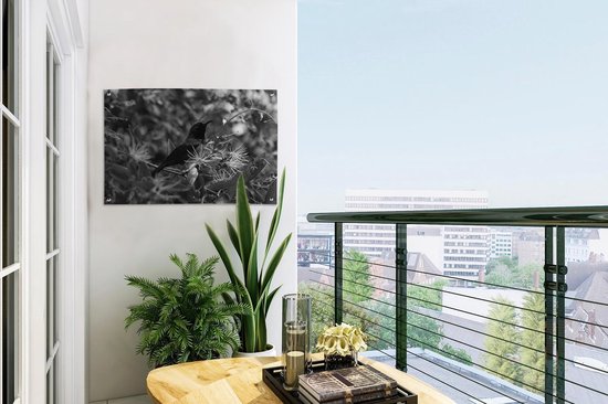 Tuinposter 60x40 cm - Tuindecoratie Vogel tussen de bladeren in de jungle - zwart wit - Poster voor in de tuin - Buiten decoratie - Schutting tuinschilderij - Tuindoek muurdecoratie - Wanddecoratie balkondoek
