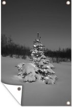 Muurdecoratie Verlichte kerstboom in de sneeuw bij nacht - zwart wit - 120x180 cm - Tuinposter - Tuindoek - Buitenposter