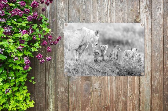 Posters de jardin extérieur Lionne avec son garçon - noir et blanc - 90x60 cm - Toile de jardin - Affiche extérieure