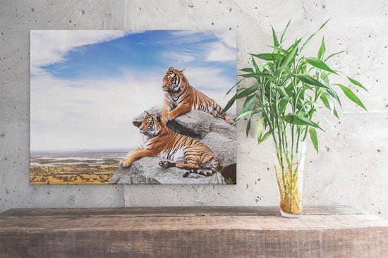 Artaza Toile Peinture Deux Tigres Sur Des Rochers Avec Le Ciel Bleu - 40x30 - Klein - Image Sur Toile - Impression Sur Toile