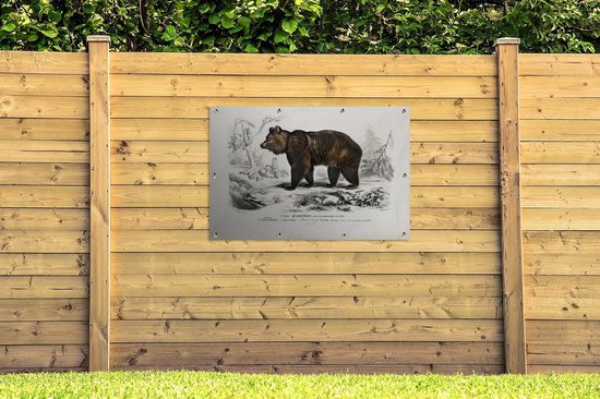 Affiche jardin - Toile jardin - Posters de jardin extérieur - Ours - Vintage - Animal - 120x80 cm - Jardin