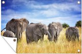 Tuindecoratie Olifanten - Familie - Safari - 60x40 cm - Tuinposter - Tuindoek - Buitenposter