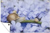 Affiche jardin - Toile jardin - Posters de jardin extérieur - Escargot - Fleurs - Animaux - 120x80 cm - Jardin