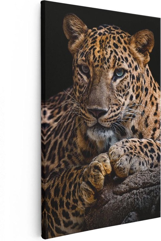 Artaza - Peinture Sur Toile - Léopard Aux Yeux Bleus - 40x60 - Photo Sur Toile - Impression Sur Toile