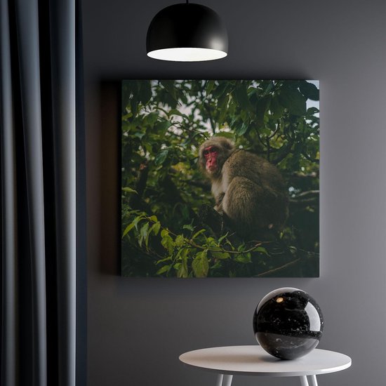 Artaza Toile Peinture Singe Dans L'Arbre Entre Les Feuilles - 40x40 - Klein - Photo Sur Toile - Impression Sur Toile