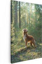 Artaza Canvas Schilderij Retriever Hond In Het Bos Met Zon - 80x120 - Groot - Foto Op Canvas - Canvas Print