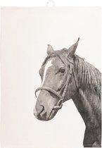 Paard dieren keukenhanddoek - 50x70 cm - Paard - Wit