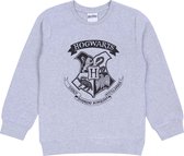 Grijs, jongens HOGWHARTS Harry Potter-sweatshirt 122-128