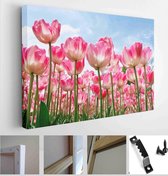 Itsallcanvas - Schilderij - Group Purple Tulips Against The Sky. Spring Landscape Art Horizontal Horizontal - Multicolor - 30 X 40 Cm