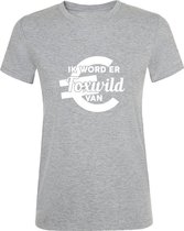 Foxwild Dames t-shirt met euro teken  | Massa is kassa | ik word er foxwild van | tshirt | Grijs