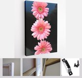 Three beautiful pink daisy flowers Vertical in a row. In a studio photograph On a black background - Modern Art Canvas - Vertical - 1313296763 - 40-30 Vertical