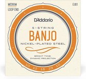 D'Addario J61 Nickel Medium 5-String Banjo 10-23 banjosnaren