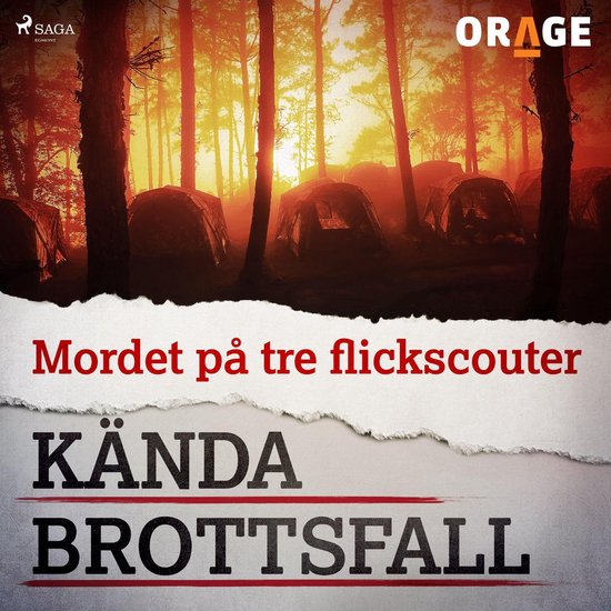 Mordet på tre flickscouter - cover