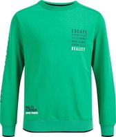 WE Fashion Jongens sweater met opdruk