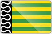 Vlag gemeente De Wolden - 70 x 100 cm - Polyester