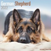 German Shepherds Kalender 2022