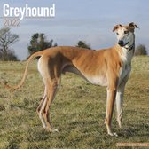 Greyhounds - Großer Englischer Windhund - Kalender 2022