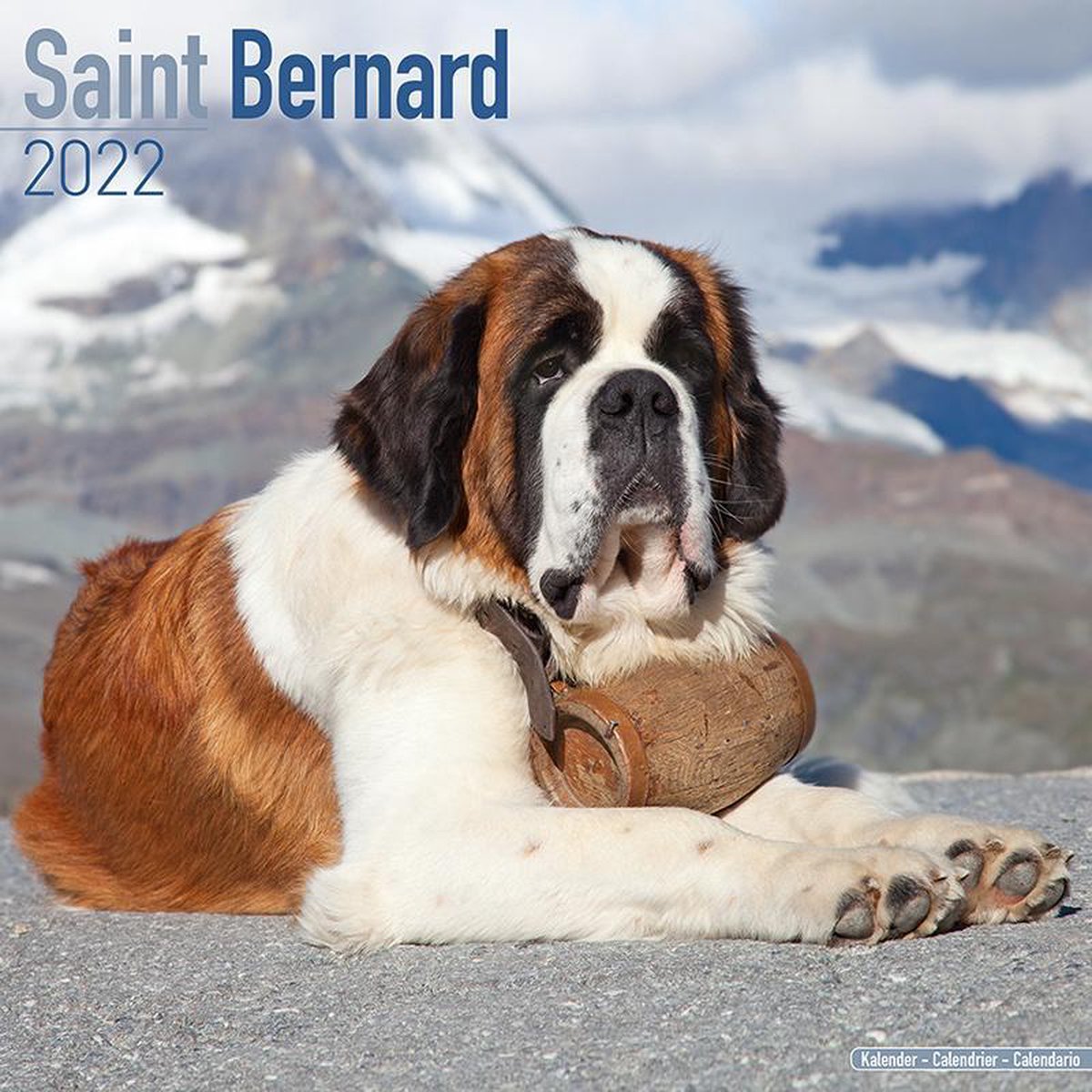 Saint Bernards - Bernhardiner 2022 - 18-Monatskalender mit f