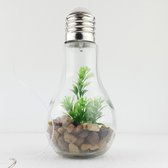 Decoratie LED lamp met plant - 19x9cm - hang ledlamp met kunstplantje - Woon accessoire - Plant glas 1