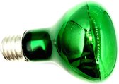 STIR R63 230V 40W Groen Reflectorlamp