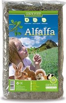 Arquivet Alfalfa Voor Knaagdieren  | 500