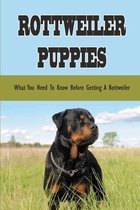 Rottweiler Puppies: What You Need To Know Before Getting A Rottweiler