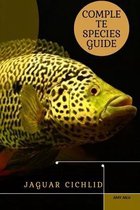 Jaguar Cichlid