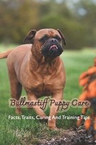 Bullmastiff Puppy Care: Facts, Traits, Caring And Training Tips