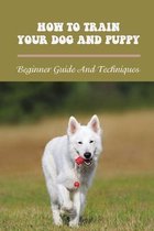 How To Train Your Dog And Puppy: Beginner Guide And Techniques