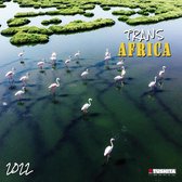 Trans Africa 2022