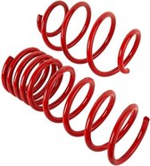 Spring for Sports Shock Absorber Cobra 00.4213