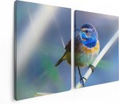 Artaza Canvas Schilderij Tweeluik Kleurrijke Blauwborst Vogel Op Een Tak - 120x80 - Foto Op Canvas - Canvas Print