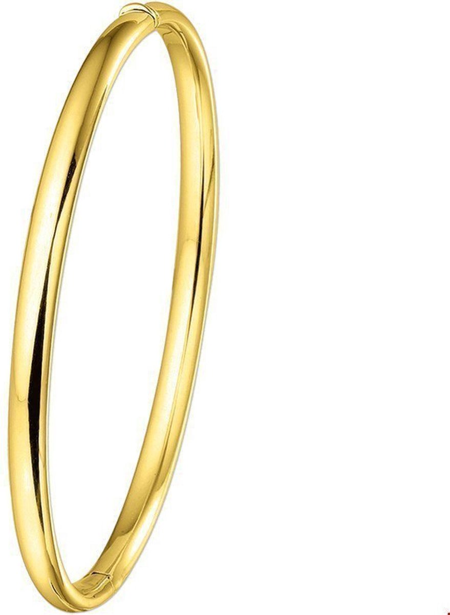 The Jewelry Collection Bangle Scharnier Half Ronde Buis 4 X 60 mm - Geelgoud