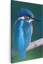 Artaza Canvas Schilderij Blauwe IJsvogel Op Een Tak - 80x120 - Groot - Foto Op Canvas - Canvas Print